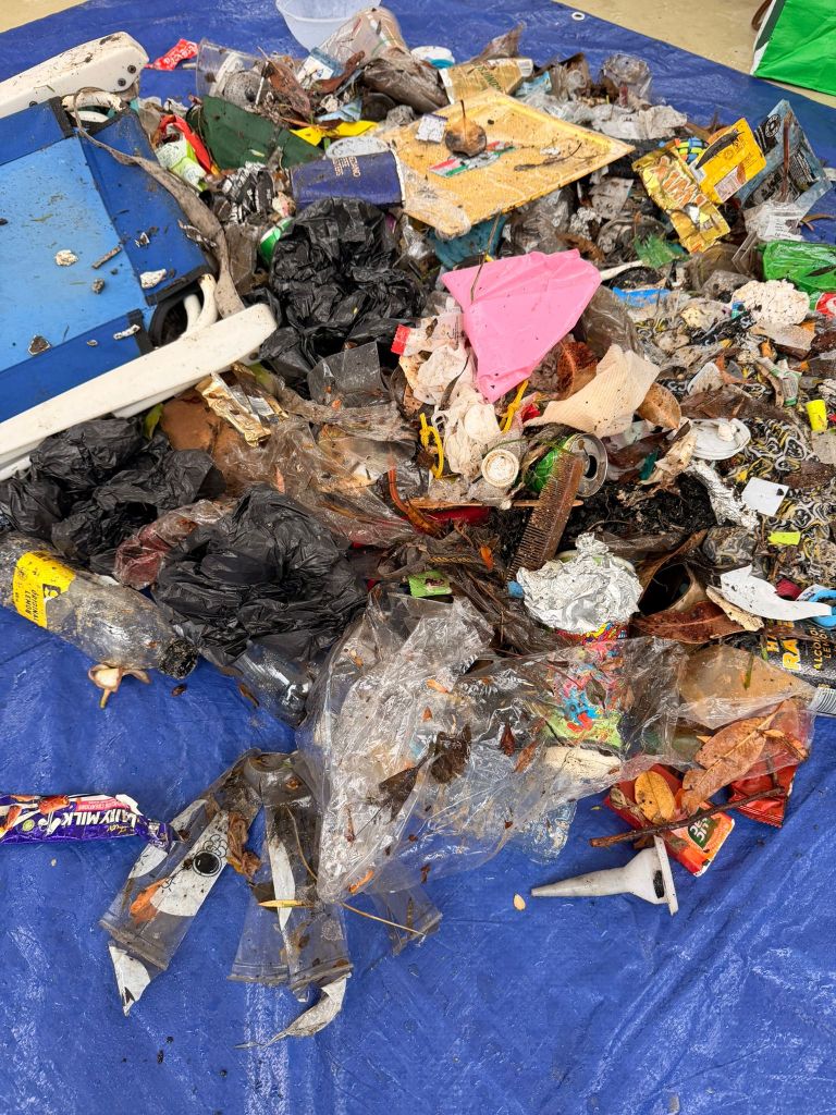 Green Schools Collective Balmoral Beach Clean Up