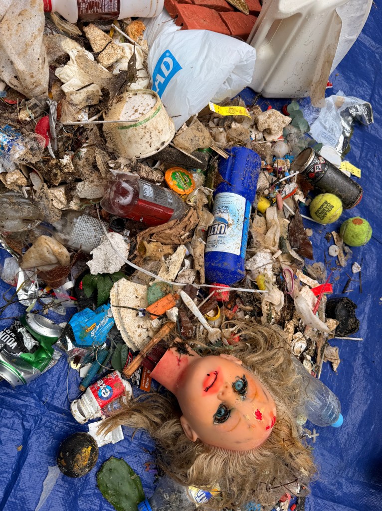 Green Schools Collective Term 2 2026 Clean Up