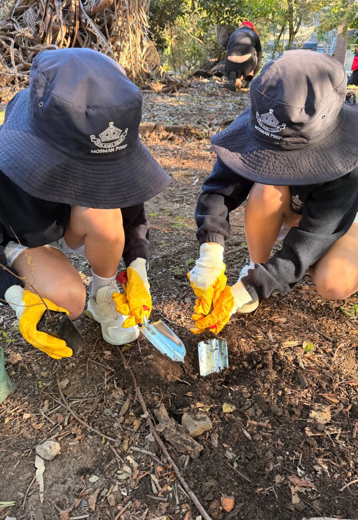 Schools National Tree Planting Day