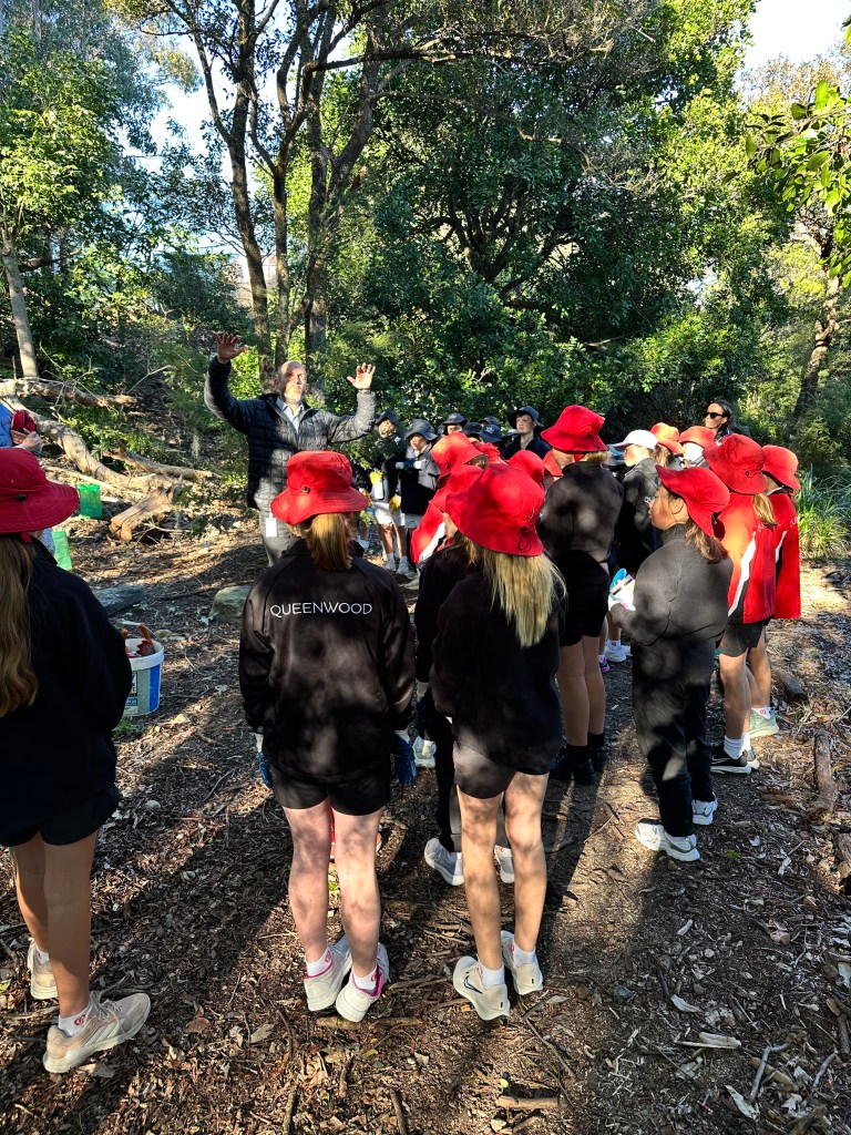 Schools National Tree Planting Day